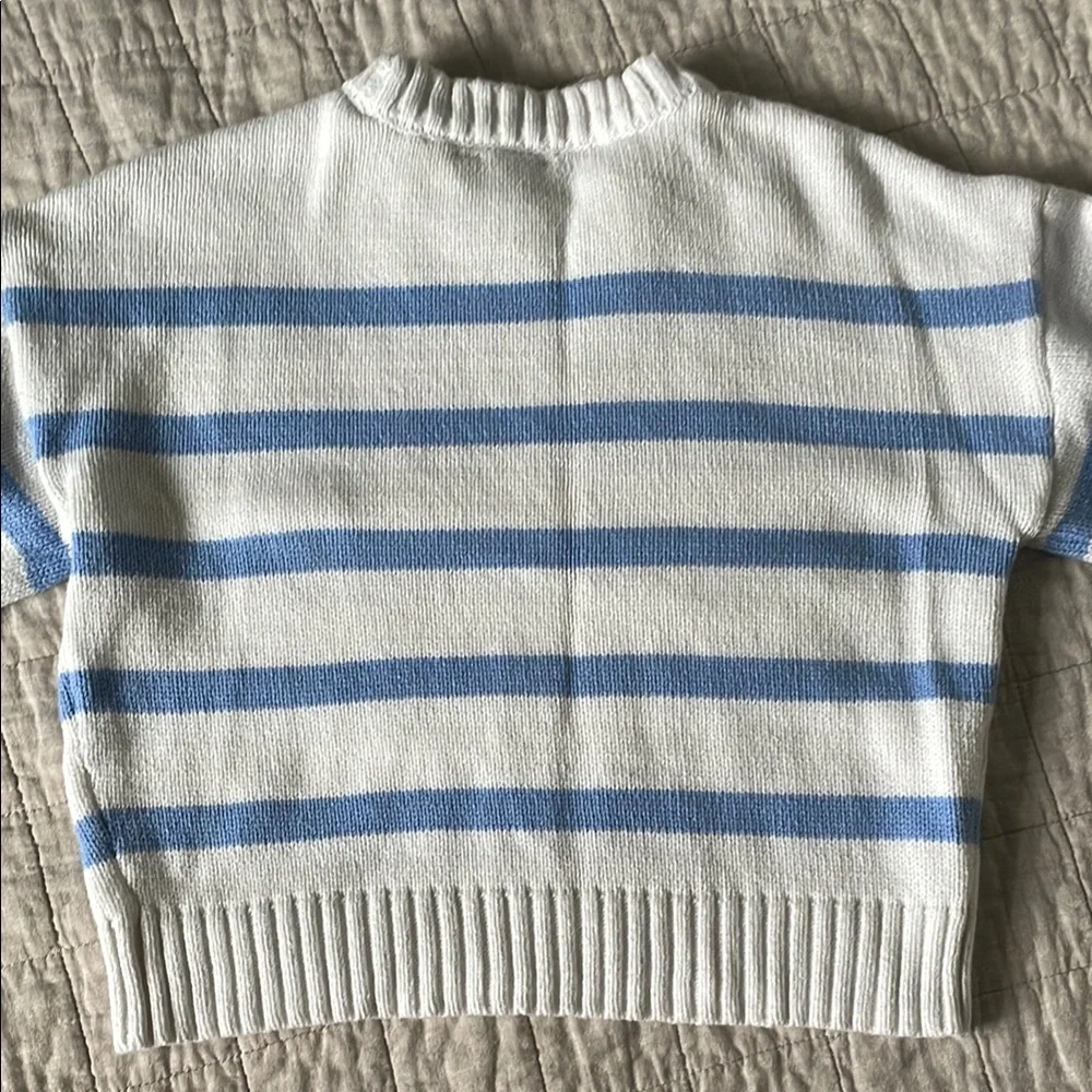 Striped Blue and White Sweater with Lemon Design - Picture 5 of 5